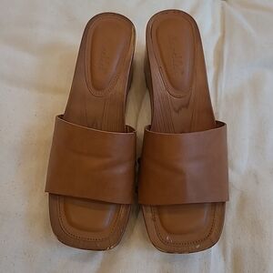 Splendid Brown Leather Clogs